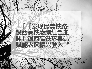 「发现最美铁路·银西高铁赓续红色血脉」银西高铁环县站赋能老区振兴驶入“快车道”