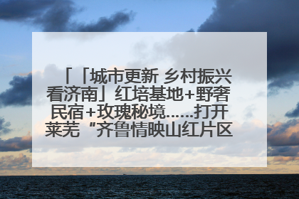 「城市更新 乡村振兴看济南」红培基地+野奢民宿+玫瑰秘境……打开莱芜“齐鲁情映山红片区”的破圈秘籍