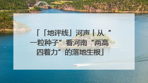 「地评线」河声丨从“一粒种子”看河南“两高四着力”的落地生根
