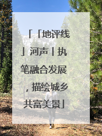 「地评线」河声丨执笔融合发展，描绘城乡共富美景