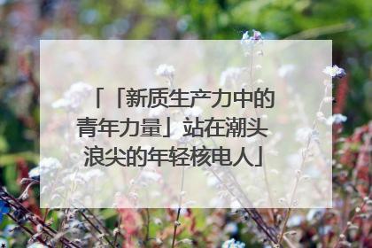 「新质生产力中的青年力量」站在潮头浪尖的年轻核电人