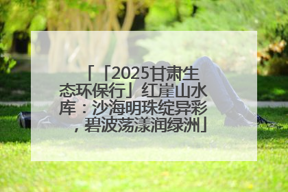 「2025甘肃生态环保行」红崖山水库：沙海明珠绽异彩，碧波荡漾润绿洲
