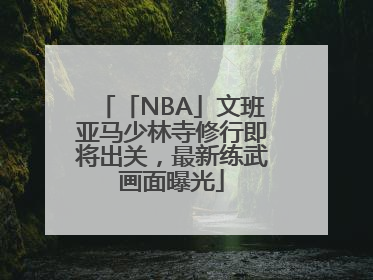 「NBA」文班亚马少林寺修行即将出关，最新练武画面曝光