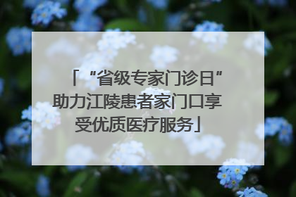 “省级专家门诊日”助力江陵患者家门口享受优质医疗服务