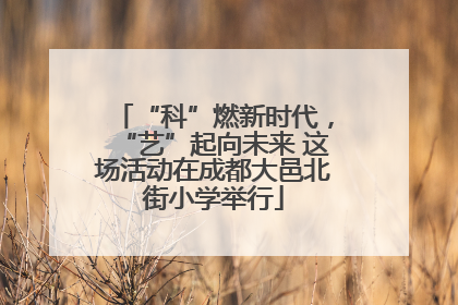“科”燃新时代，“艺”起向未来 这场活动在成都大邑北街小学举行