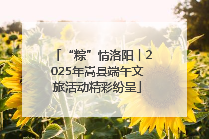 “粽”情洛阳丨2025年嵩县端午文旅活动精彩纷呈