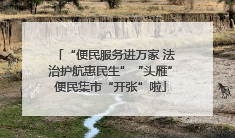 “便民服务进万家 法治护航惠民生”“头雁”便民集市“开张”啦