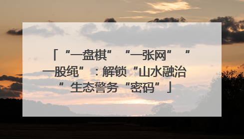 “一盘棋”“一张网”“一股绳”：解锁“山水融治”生态警务“密码”