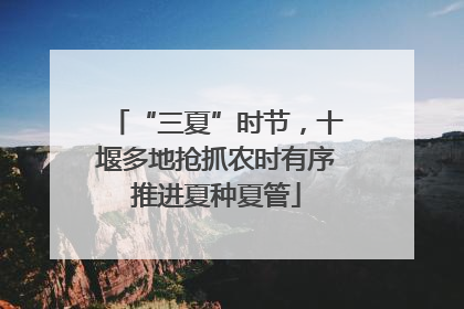 “三夏”时节，十堰多地抢抓农时有序推进夏种夏管
