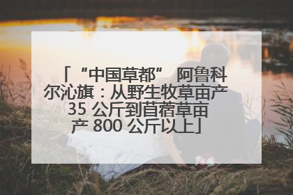“中国草都” 阿鲁科尔沁旗：从野生牧草亩产 35 公斤到苜蓿草亩产 800 公斤以上