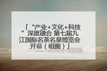 “产业+文化+科技”深度融合 第七届九江国际名茶名泉博览会开幕（组图）