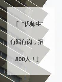 “优师生”有编有岗，招800人！