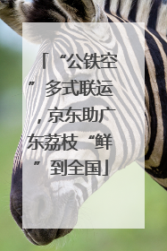 “公铁空”多式联运，京东助广东荔枝“鲜”到全国