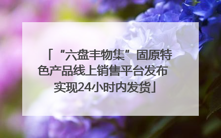 “六盘丰物集”固原特色产品线上销售平台发布 实现24小时内发货