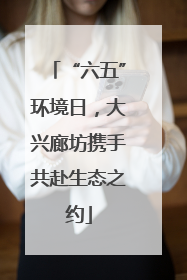 “六五”环境日，大兴廊坊携手共赴生态之约