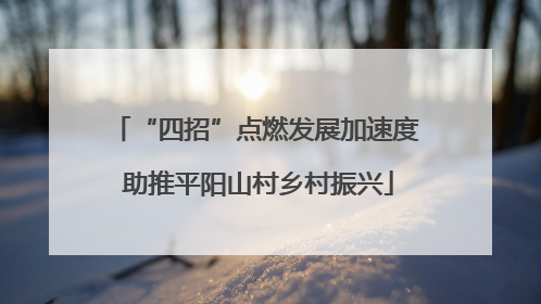 “四招”点燃发展加速度 助推平阳山村乡村振兴