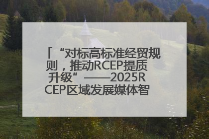 “对标高标准经贸规则，推动RCEP提质升级”——2025RCEP区域发展媒体智库论坛举行专题对话