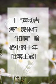 “声动青海”媒体行“扣响”暗格中的千年吐蕃王冠
