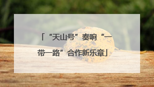 “天山号”奏响“一带一路”合作新乐章