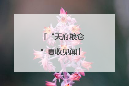 “天府粮仓”夏收见闻