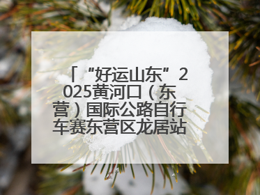 “好运山东”2025黄河口（东营）国际公路自行车赛东营区龙居站 完美“抄作业”，苦战最后时刻黄衫易主