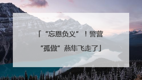 “忘恩负义”！警营“孤傲”燕隼飞走了
