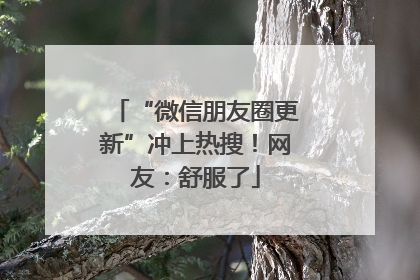“微信朋友圈更新”冲上热搜！网友：舒服了
