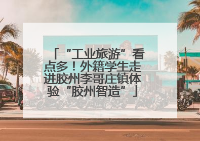 “工业旅游”看点多！外籍学生走进胶州李哥庄镇体验“胶州智造”