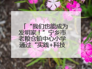 “我们也能成为发明家！”宁乡市老粮仓镇中心小学通过“实践+科技”模式，为乡村娃探索教育新路径