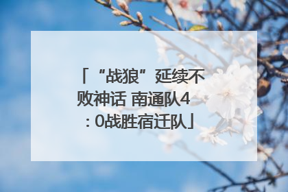 “战狼”延续不败神话 南通队4∶0战胜宿迁队