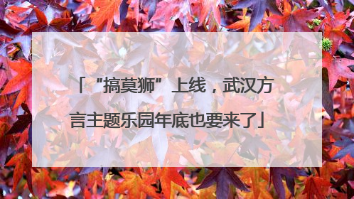 “搞莫狮”上线，武汉方言主题乐园年底也要来了