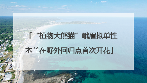 “植物大熊猫”峨眉拟单性木兰在野外回归点首次开花