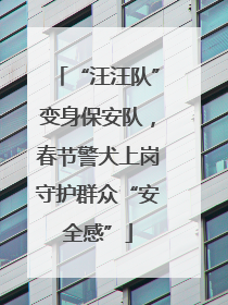 “汪汪队”变身保安队，春节警犬上岗守护群众“安全感”