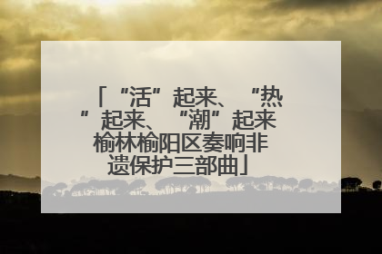“活”起来、“热”起来、“潮”起来 榆林榆阳区奏响非遗保护三部曲