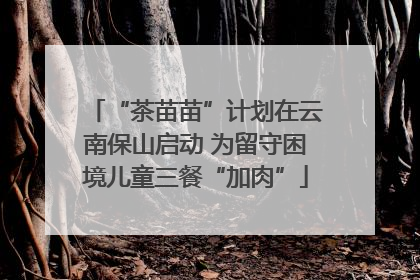 “茶苗苗”计划在云南保山启动 为留守困境儿童三餐“加肉”