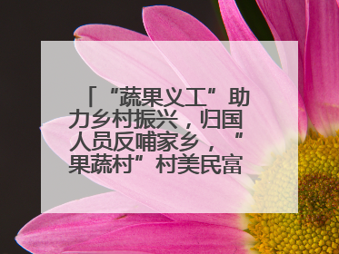“蔬果义工”助力乡村振兴，归国人员反哺家乡，“果蔬村”村美民富香飘远近