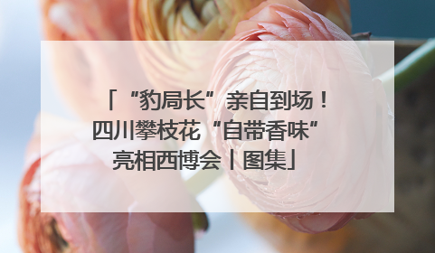 “豹局长”亲自到场！四川攀枝花“自带香味”亮相西博会丨图集