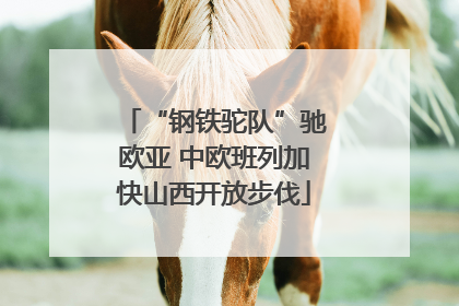 “钢铁驼队”驰欧亚 中欧班列加快山西开放步伐