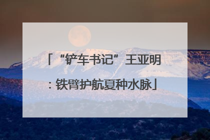 “铲车书记”王亚明：铁臂护航夏种水脉