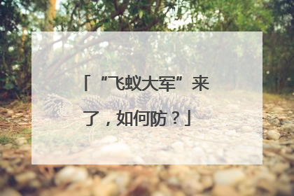 “飞蚁大军”来了，如何防？