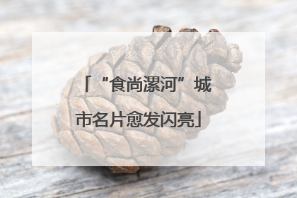 “食尚漯河”城市名片愈发闪亮