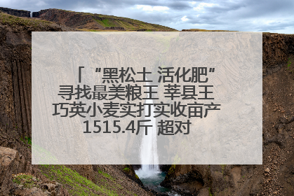 “黑松土 活化肥”寻找最美粮王 莘县王巧英小麦实打实收亩产1515.4斤 超对照田144斤！