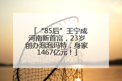 “85后”王宁成河南新首富，23岁创办泡泡玛特，身家1467亿元！