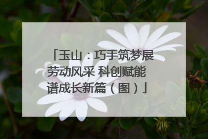 玉山：巧手筑梦展劳动风采 科创赋能谱成长新篇（图）