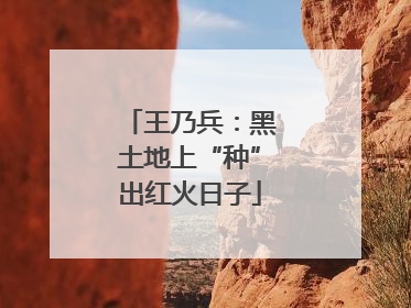 王乃兵：黑土地上“种”出红火日子
