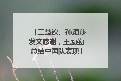 王楚钦、孙颖莎发文感谢，王励勤总结中国队表现
