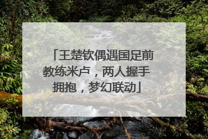 王楚钦偶遇国足前教练米卢，两人握手拥抱，梦幻联动