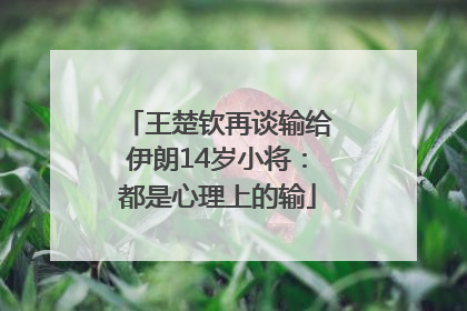 王楚钦再谈输给伊朗14岁小将：都是心理上的输