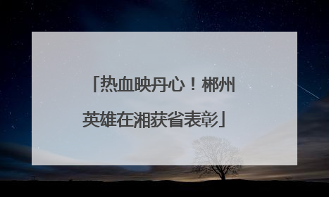 热血映丹心！郴州英雄在湘获省表彰