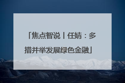 焦点智说丨任婧：多措并举发展绿色金融